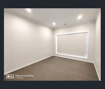 High Quality 4 Bedroom 2 Living Area House! - Photo 5