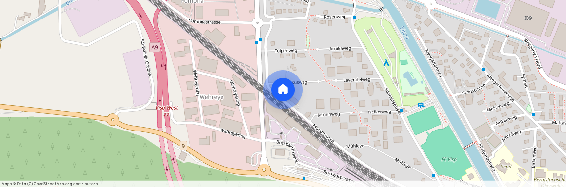 3930, Visp, Krokusweg, 2