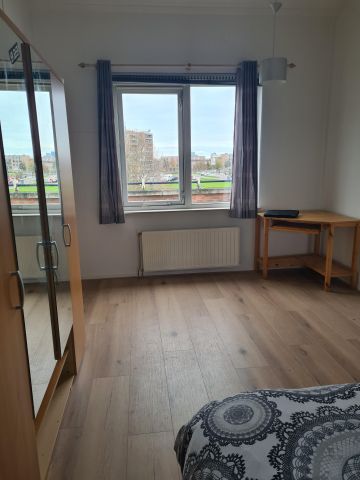 Veldbeemdgras - Photo 3