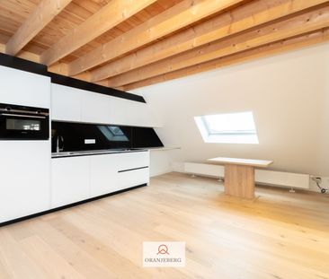Gerenoveerd appartement met unieke en rustige ligging - Foto 3