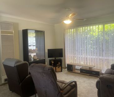 437 Romani Drive, Lavington NSW 2641 - House For Rent | Domain - Photo 2