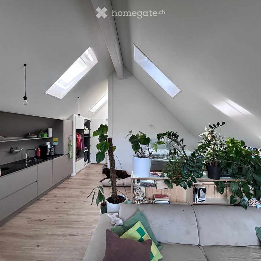 Moderne Dachwohnung in Weisslingen – Nachmieter per 01.12.2026 gesucht - Foto 1