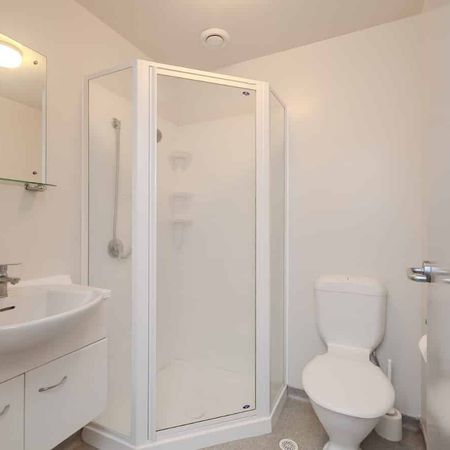 Inner City Living in quiet Studio Apartment - Photo 4