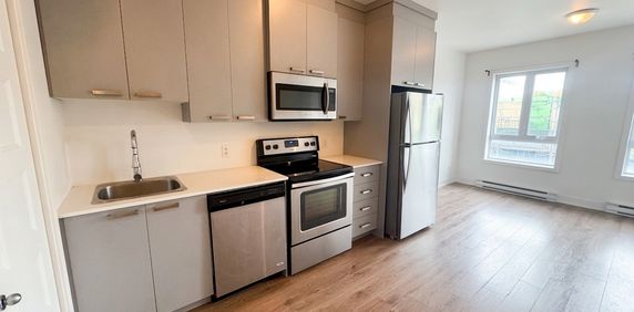 3½ à Louer — Saint-Henri — 1595 $/mois - Photo 2