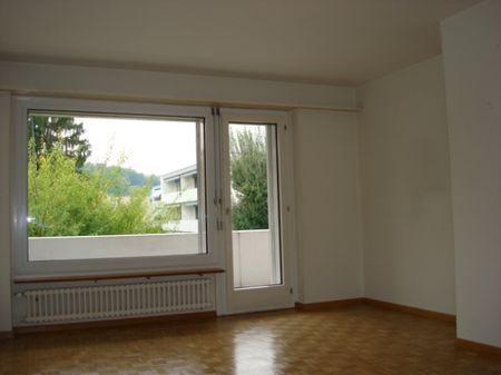 Appartement de 3 pièces dans la vallée de la Limmat, entre Baden et Zurich - Photo 5