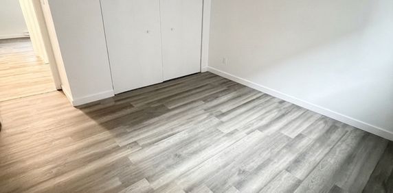 51/2 Nord De Sherbrooke - Photo 2