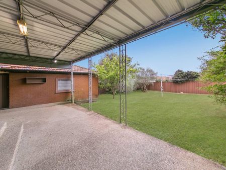 19 Malley Avenue, Earlwood NSW 2206 - House For Rent | Domain - Photo 4