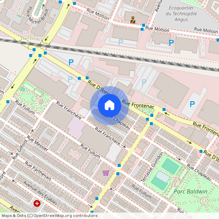 4593 Rue Chapleau, Plateau-Mont-Royal, Plateau-Mont-Royal, Ile de Montréal, H2H 2L4