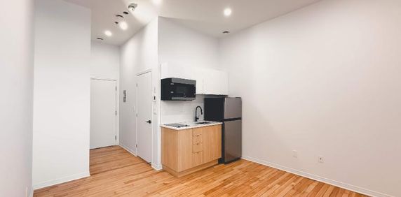 1 CH - 1 SDB - Montréal - $1,195 /mo - Photo 2