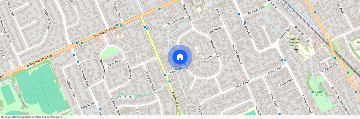 29 Buller Crescent, Manurewa, Manukau City