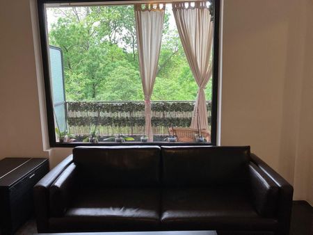 Three Bedroom Flat with Fireplace and Peaceful View - Cismigiu Park - Fotografie 5