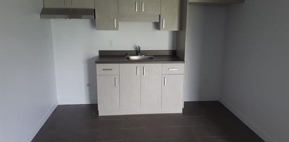 SUPERBE 3 ½ ENTIÈREMENT RÉNOVÉ - LIMOILOU - 995$ CHAUFFÉ,EAU CHAUDE - DISPONIBLE MAINTENANT OU POUR SEPTEMBRE - Photo 2