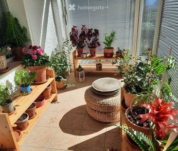 Bel appartement, spacieux, 2,5 pièces + petite véranda - Photo 5