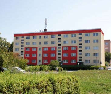 Top gelegen & teilmöbliert: Ihr neues Zuhause in Plauen - Photo 5