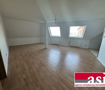 Grand 1 pièce, robertsau - Photo 4