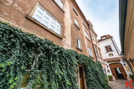 Pronájem bytu 1+kk a garsoniéry 32 m² - Fotografie 5