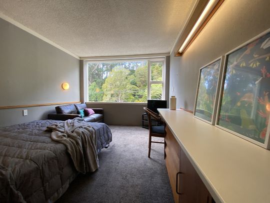 Welcome to apartment 305 in Sharella Living Thorndon - Photo 1
