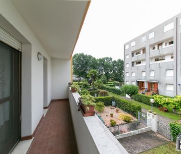 SPINEA – Villaggio dei Fiori (VE) - Photo 2