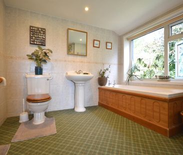 Abbotswell Road, Frogham, FORDINGBRIDGE - Photo 3