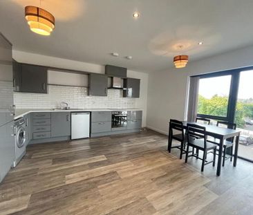 Apt 3, 94 Sunnyside Street, Belfast, BT7 3EG - Photo 3