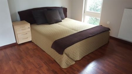 Patakhegyi utca - Fotó 5