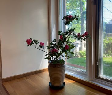Rue Larochelle, H9H 3S7, Kirkland - Photo 6