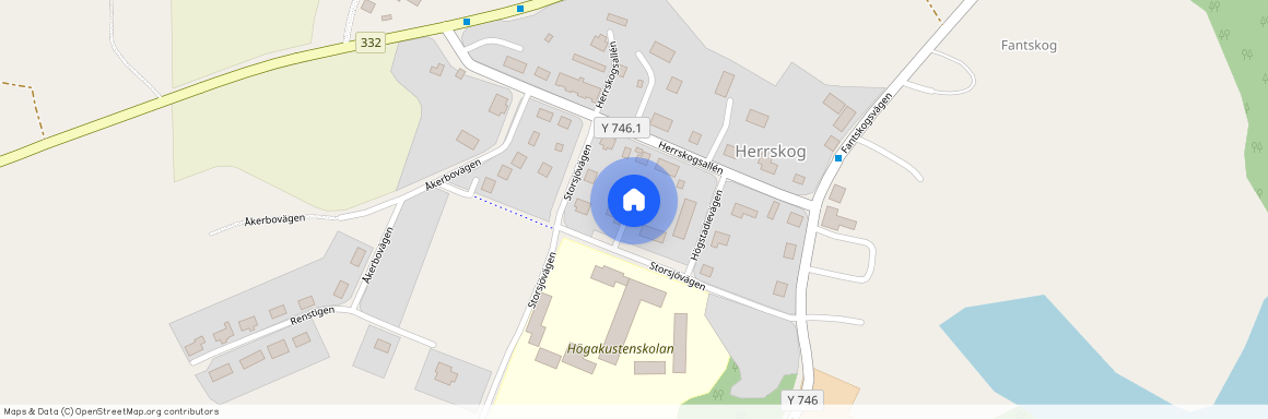 Storsjövägen, Skog