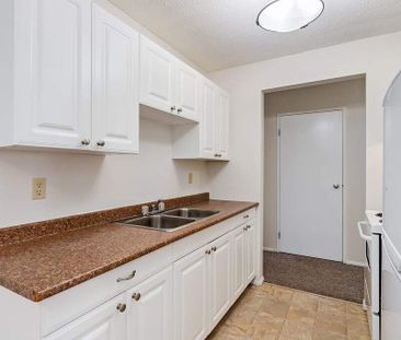 BG Classic Suite - 1 Bedroom - Photo 6