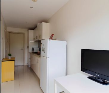 Large 1 Bedroom style 2 - Photo 6