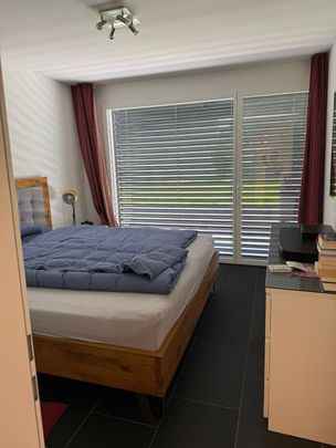 5-ROOM APARTMENT IN OBERWIL-LIELI (AG), FURNISHED, TEMPORARY - Photo 1