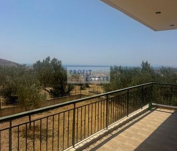 Μονοκατοικία για ενοικίαση Λαγονήσι (Καλύβια Θορικού) - Photo 1