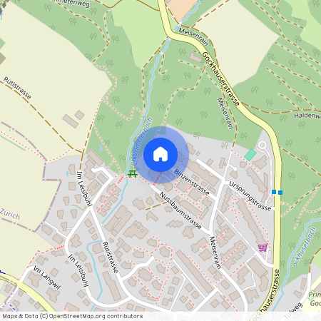 Binzenstrasse 21, 8044 Gockhausen, Schweiz