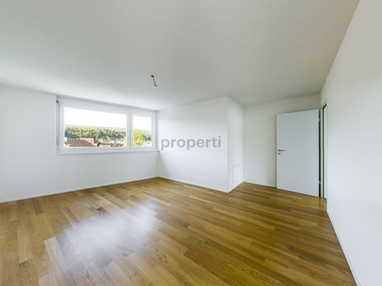 Grosszügige 3.5-Zimmer Attikawohnung mit 65m2 Dachterrasse in Laufen und toller Aussicht - Foto 1