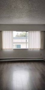 Studio Apartment For Rent - Photo 3