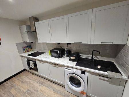 Studio Flat, Donnybrook Road, SW16 - Photo 2