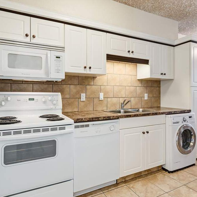 Renovated Suite - 1 Bedroom - Photo 1