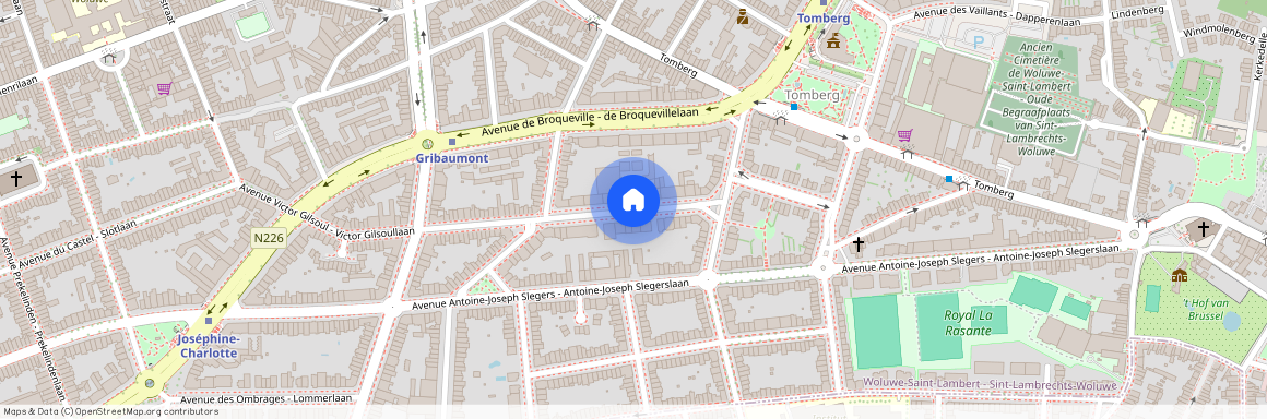Avenue Guillaume Abeloos, 1200, Woluwe-Saint-Lambert