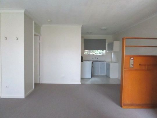 Large 2 Bedroom Unit - Photo 1