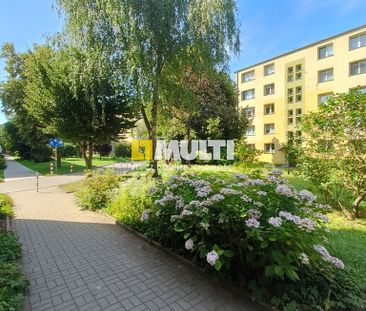 2-pokojowe mieszkanie na wynajem, Pomorzany. - Photo 2