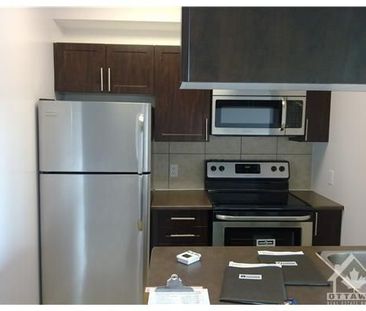 For Lease - 234 RIDEAU Street Unit# 804A, Lower Town - Sandy Hill, ... - Photo 4