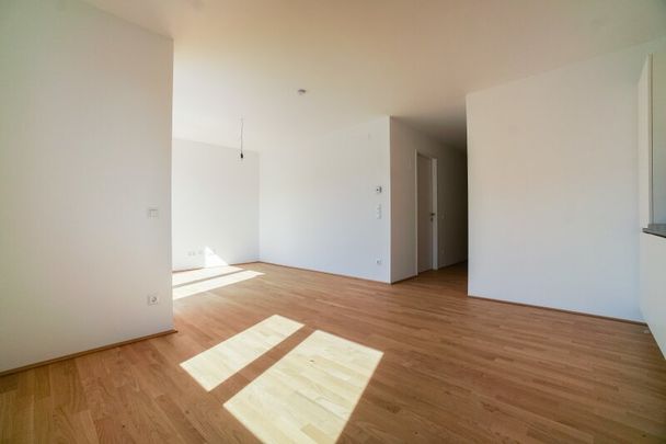 Wohnung mit perfekter Aufteilung und großer Terrasse - Kirschblütenpark - Foto 1