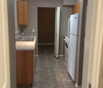 2 bed/1bath - Spacious & Bright - Photo 4