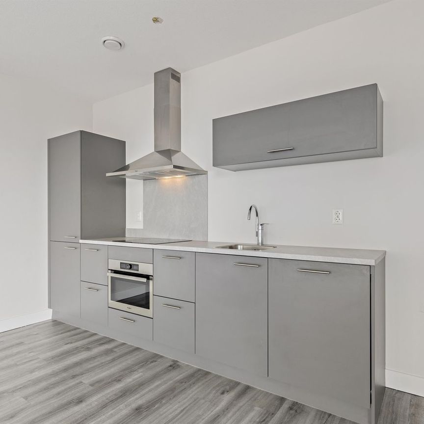 Appartement te huur: 1e Lulofsdwarsstraat 16-B 2521 AZ Den Haag - Photo 1