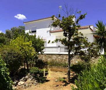 Μονοκατοικία για ενοικίαση Πόρτο Ράφτη (Μαρκόπουλο) - Φωτογραφία 3