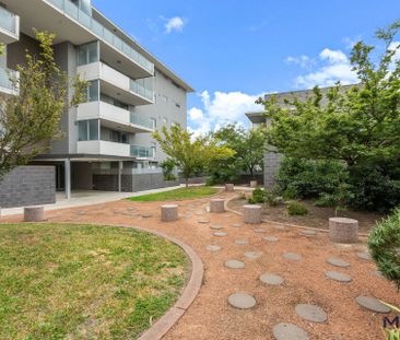 12/8 Baudinette Circuit, Bruce ACT 2617 - Apartment For Rent | Domain - Photo 5