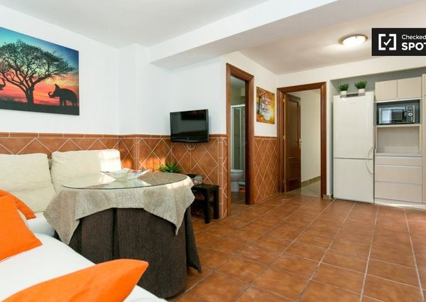 granada, Andalusia 18010