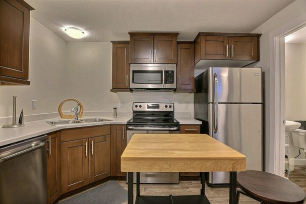 Charming Basement Studio for Rent! - Photo 1