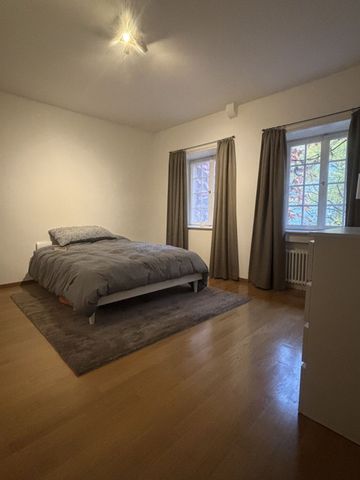 APPARTEMENT 3 PIÈCES À BÂLE - ALTSTADT/GROSSBASEL, MEUBLÉ, TEMPORAIRE - Photo 2