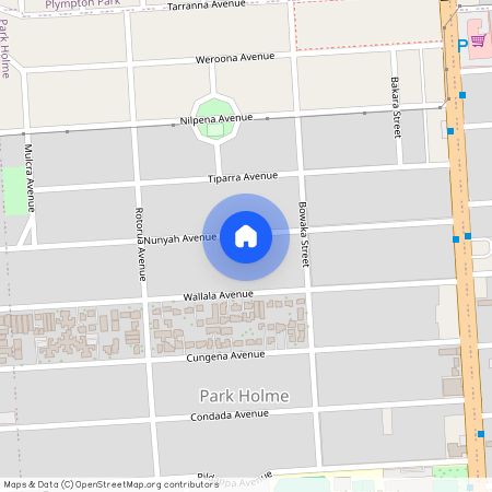 42 Nunyah Avenue, SA 5043, Park Holme