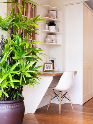5 Darling Street, Kensington NSW 2033 - House For Rent | Domain - Photo 1